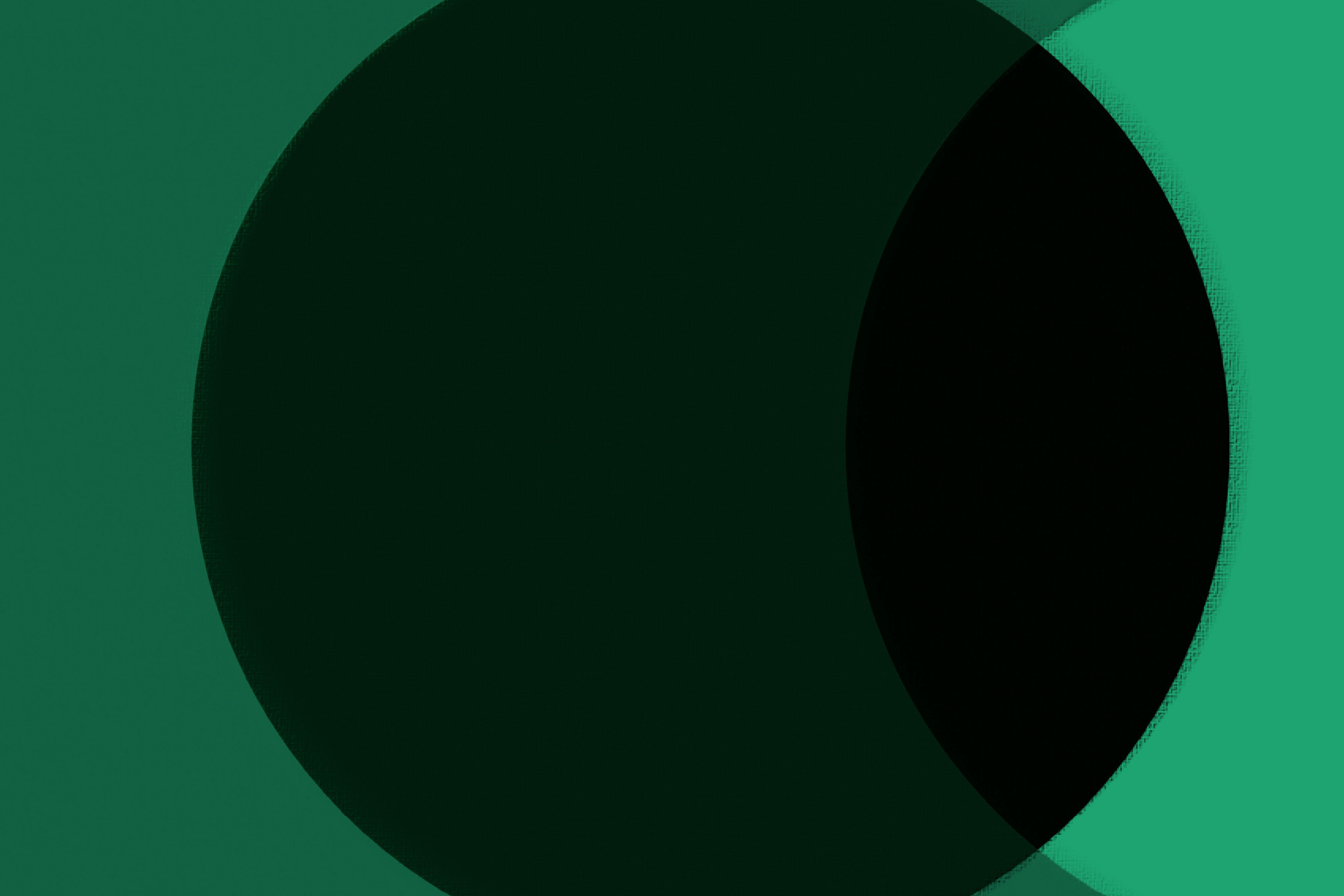 portada 19_petite.jpg